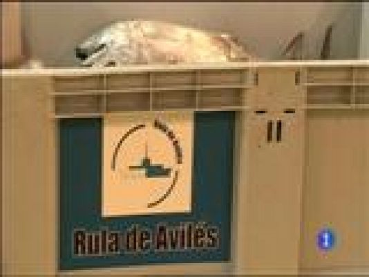 Panorama Regional - Panorama Regional 2 - 11/06/15