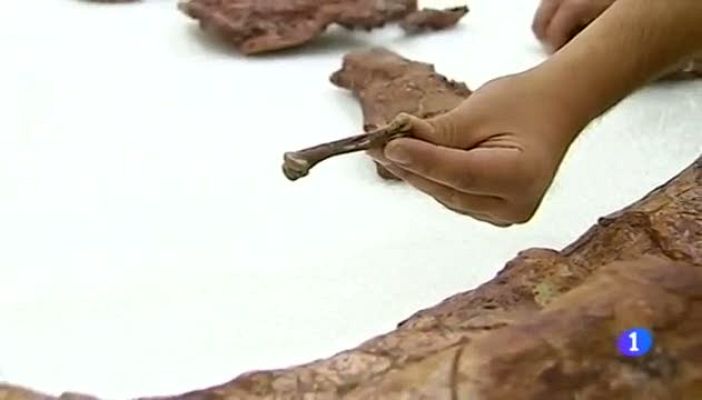 Noticias Aragón - Noticias Aragón 2-11/06/2015