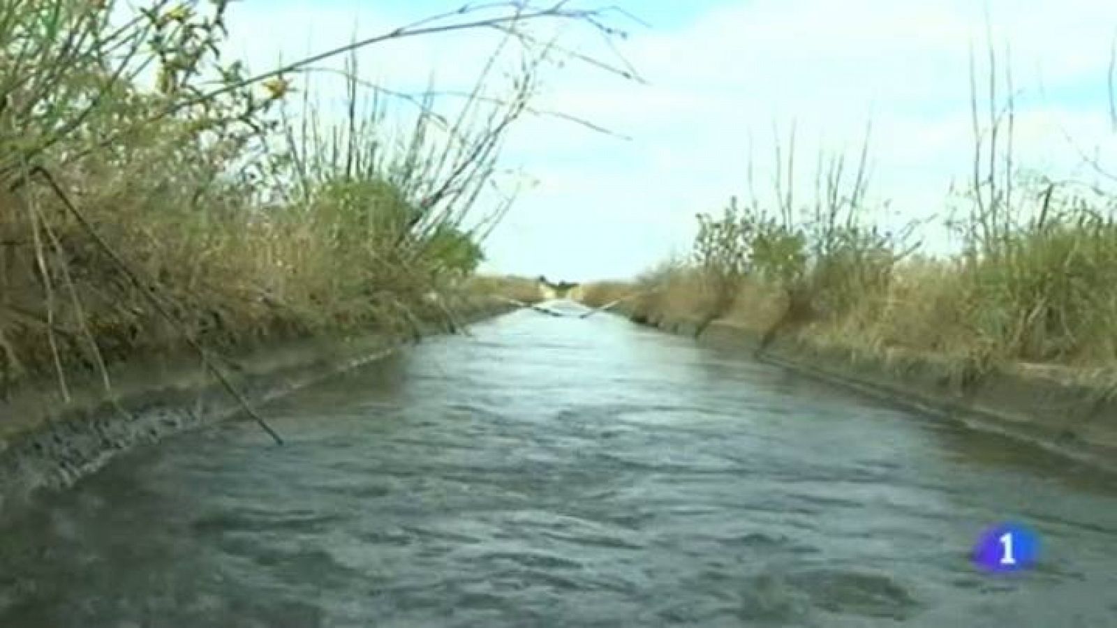 Noticias de Extremadura 2 - 12/06/15 | Ver