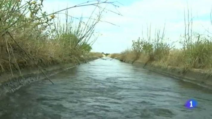 Noticias de Extremadura - Noticias de Extremadura 2 - 12/06/15