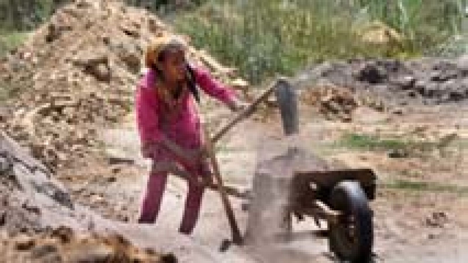 Once de cada cien niños no van a la escuela y tienen que trabajar | Ver