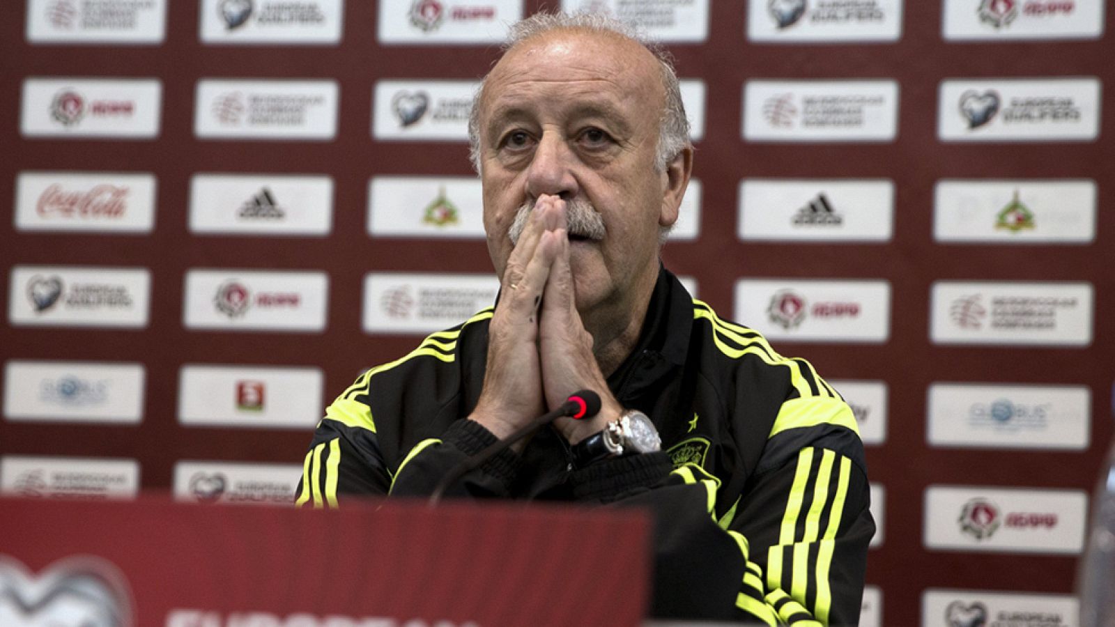 Vicente del Bosque, seleccionador español, ha dejado entrever la titularidad ante Bielorrusia de Pedro Rodríguez, autor de cuatro tantos en tres partidos al conjunto eslavo, y la suplencia de Cesc Fábregas.