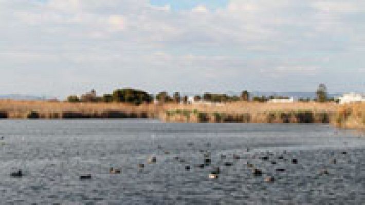 El tiempo - Intervalos de viento fuerte en el litoral almeriense