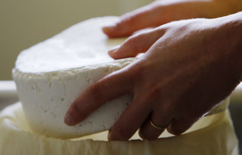 El mejor queso del mundo