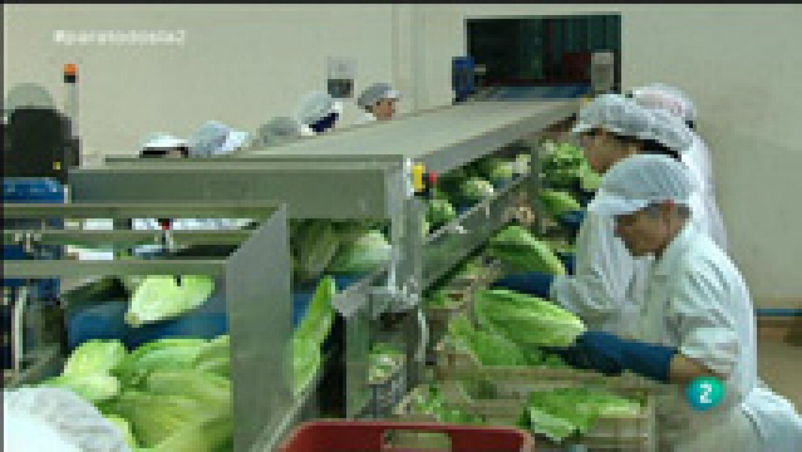 Para Todos La 2 - Vídeo - La lechuga