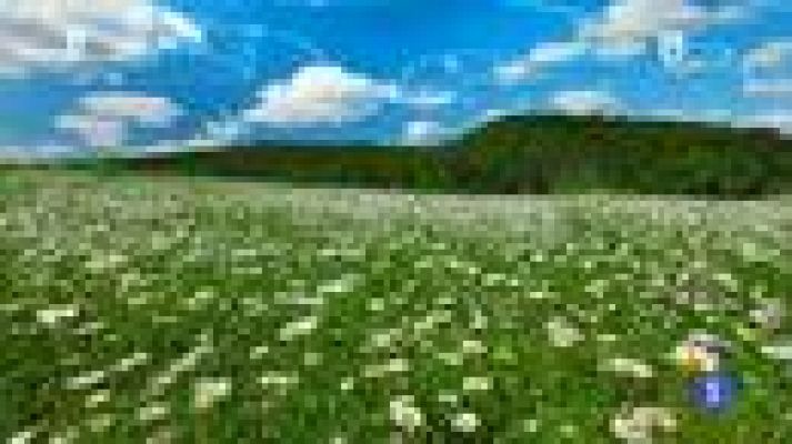 TeleCantabria - El tiempo en Cantabria - 18/06/15