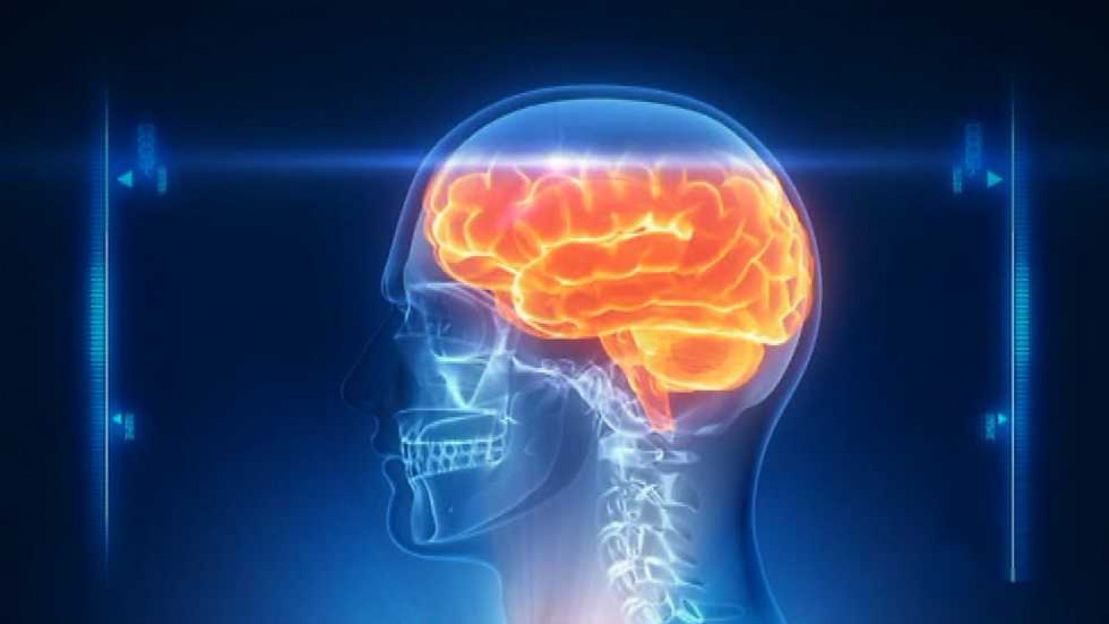 Brain Games - La mente y el cuerpo