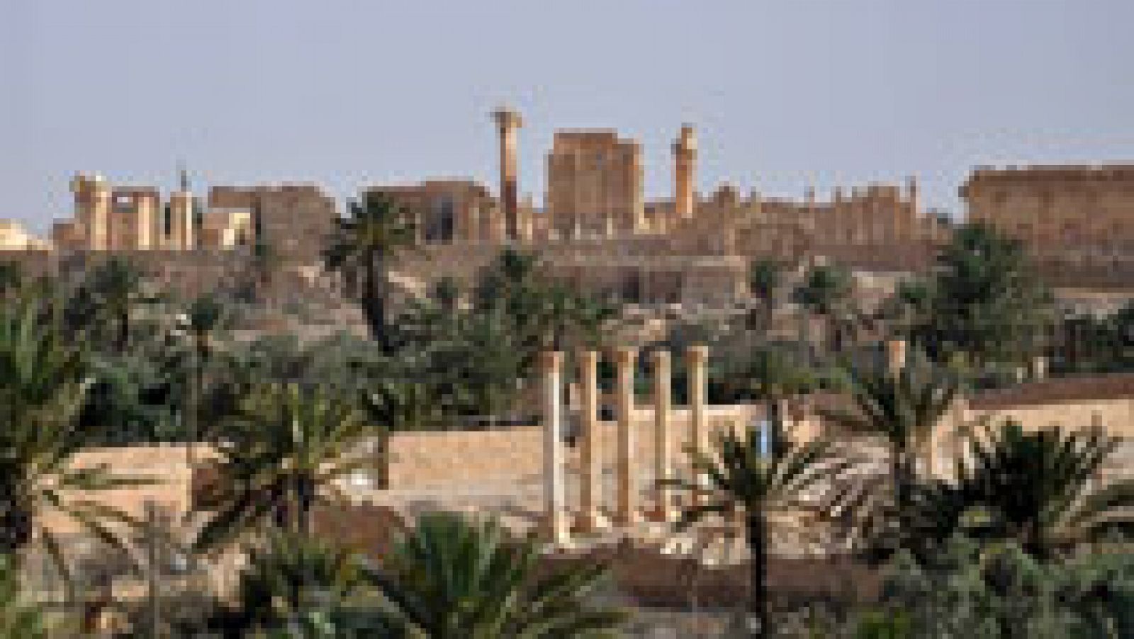 Telediario 1: El Estado Islámico comienza a destruir Palmira | RTVE Play