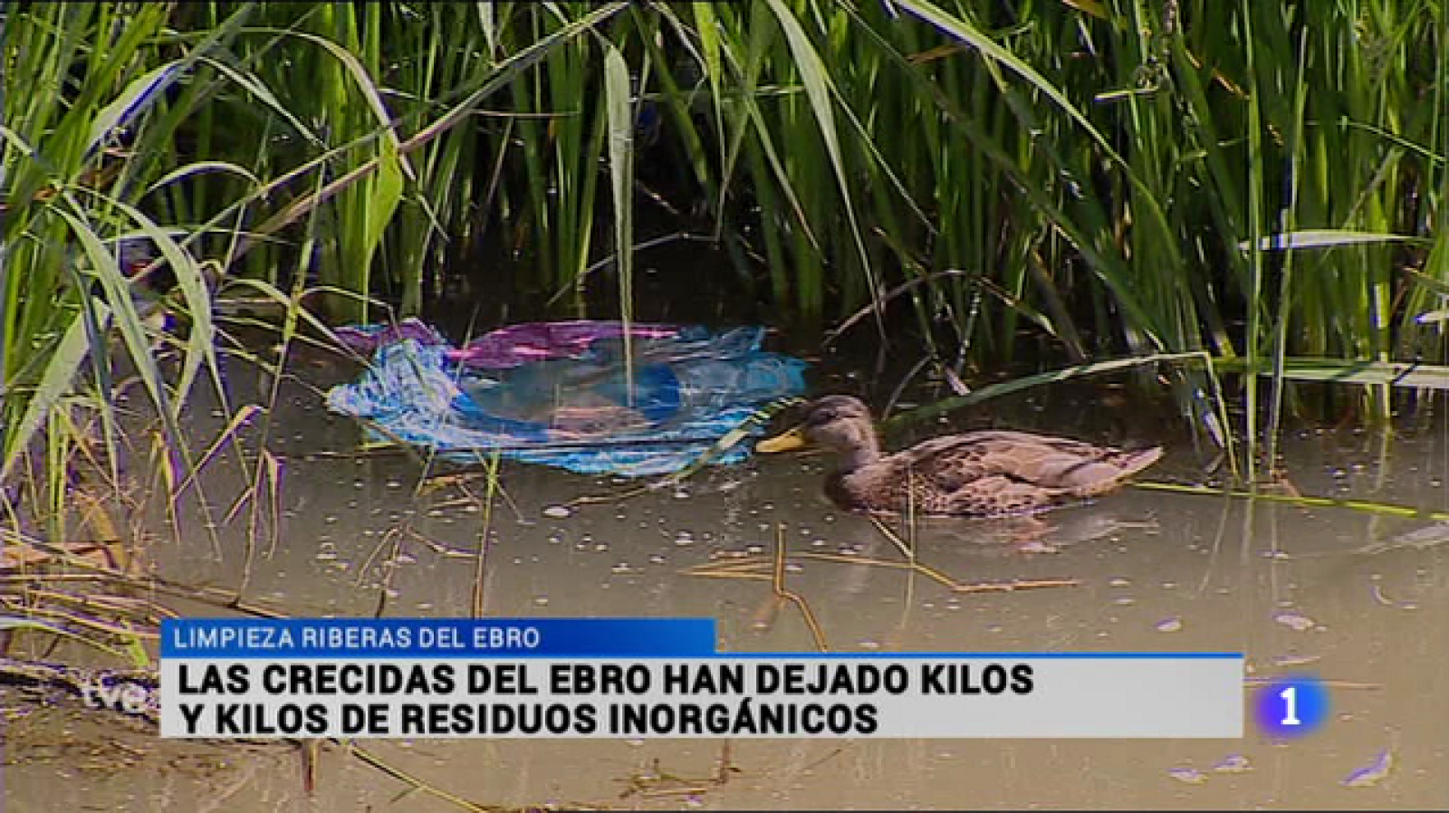 Informativo Telerioja 2 - 23/06/15