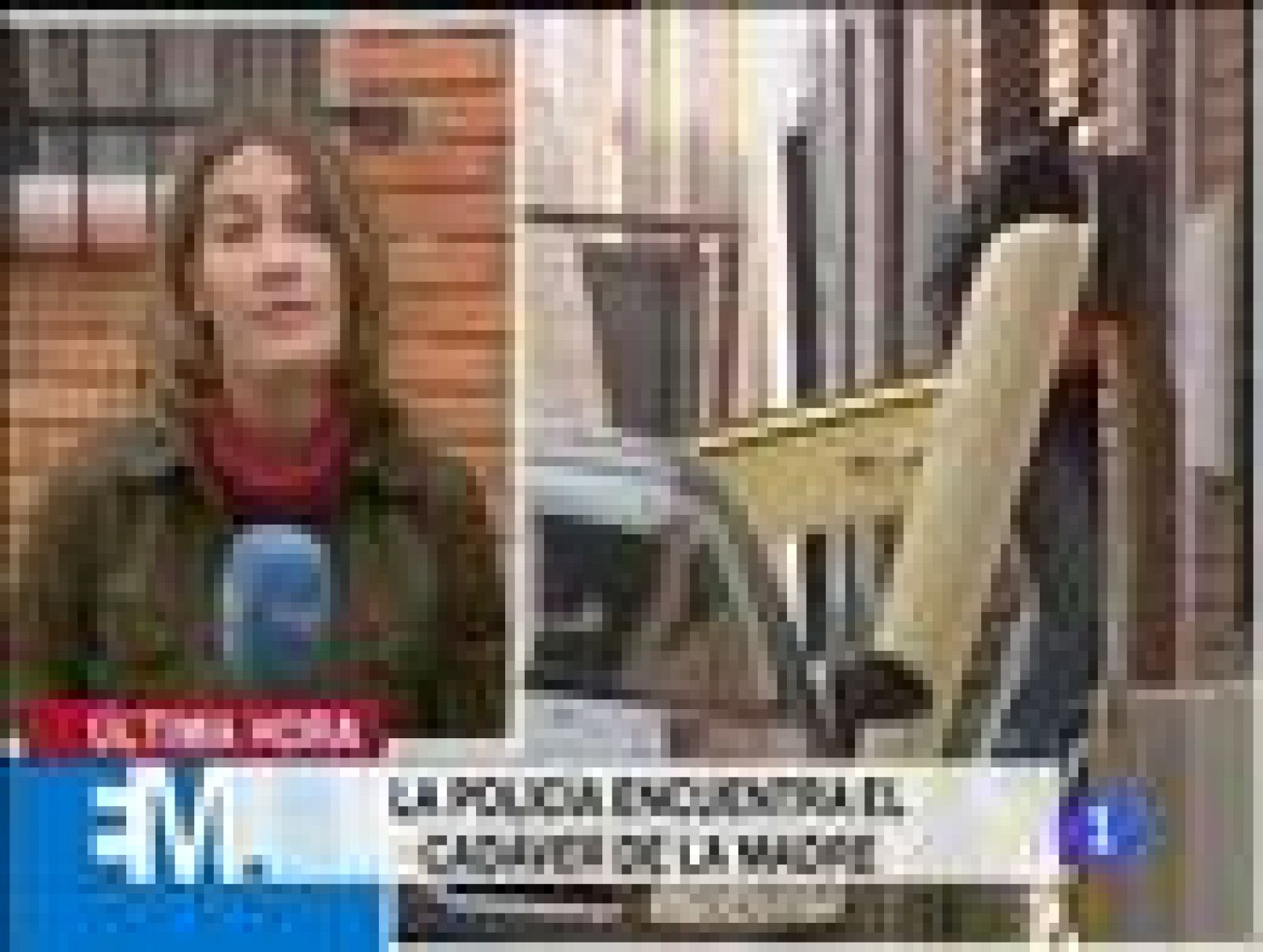 Hallan restos humanos en una casa de Valladolid | Ver