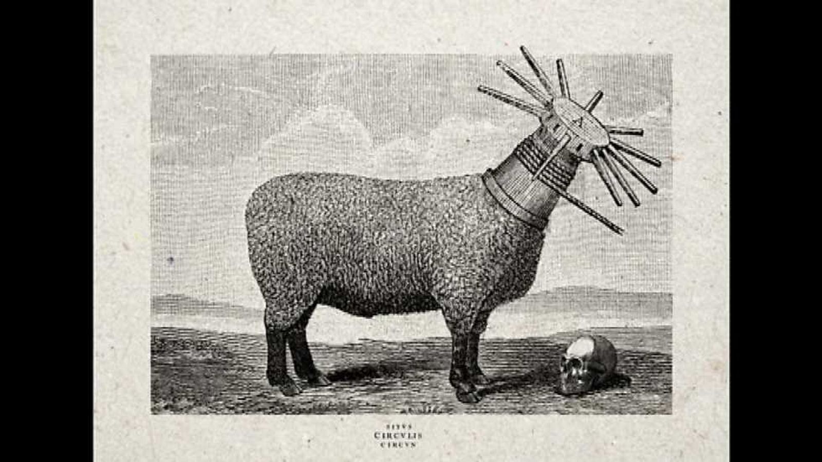 La aventura del saber - 25/06/15 - Ver ahora