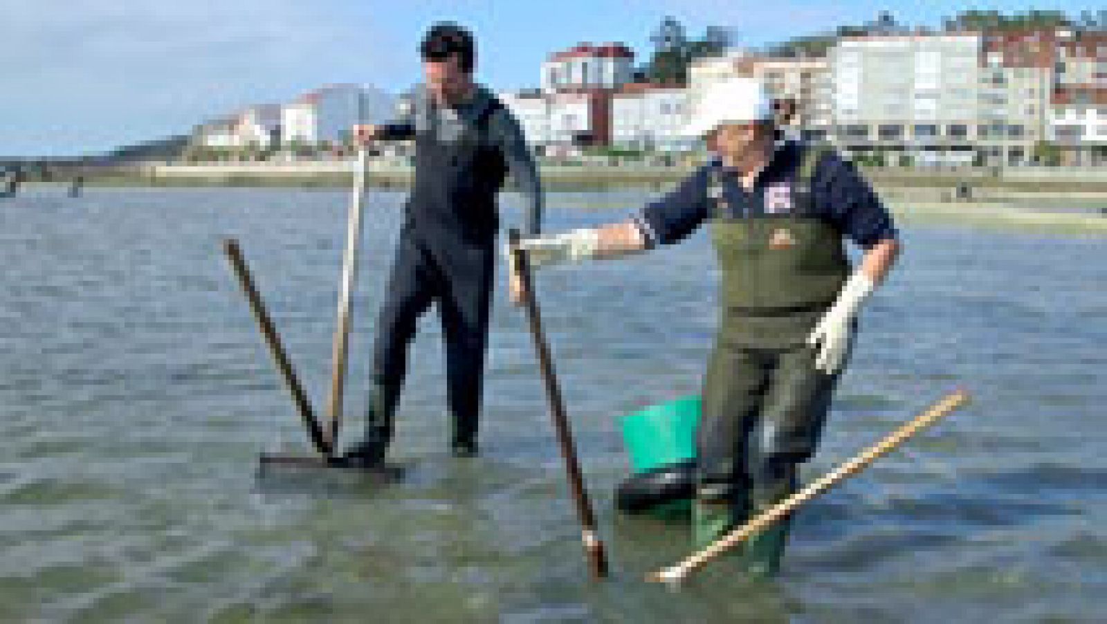 ¡Nos lanzamos al mar!