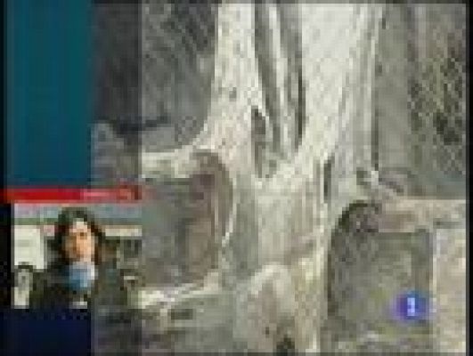  - Explosión en un depósito de gasoil