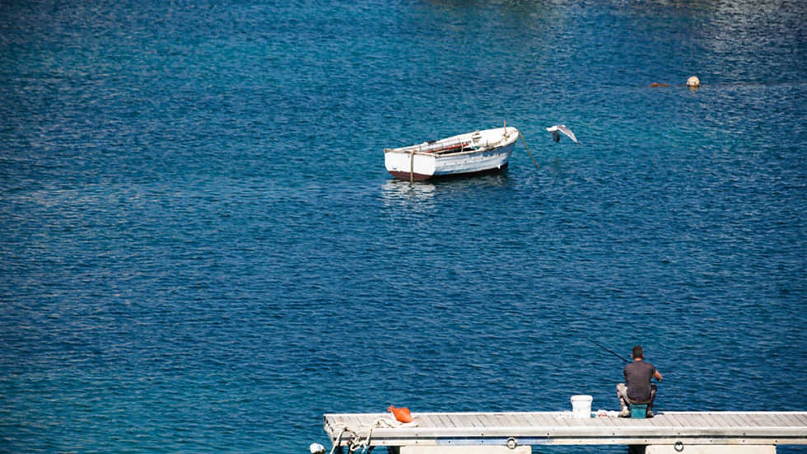 En Portada - Lampedusianos - Ver ahora 