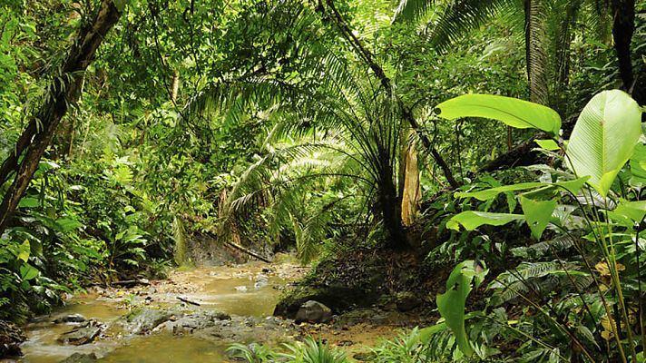 Un mundo aparte: Laberinto Amazonas