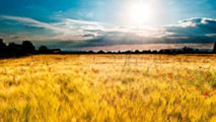 El tiempo - Calor muy intenso en casi toda la Península