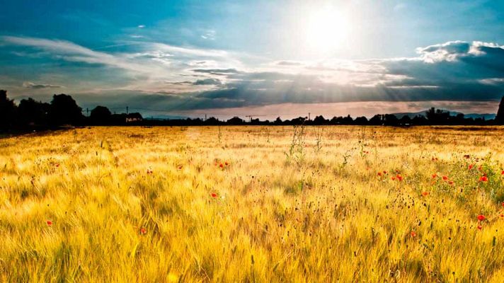 El tiempo - Calor muy intenso en casi toda la Península