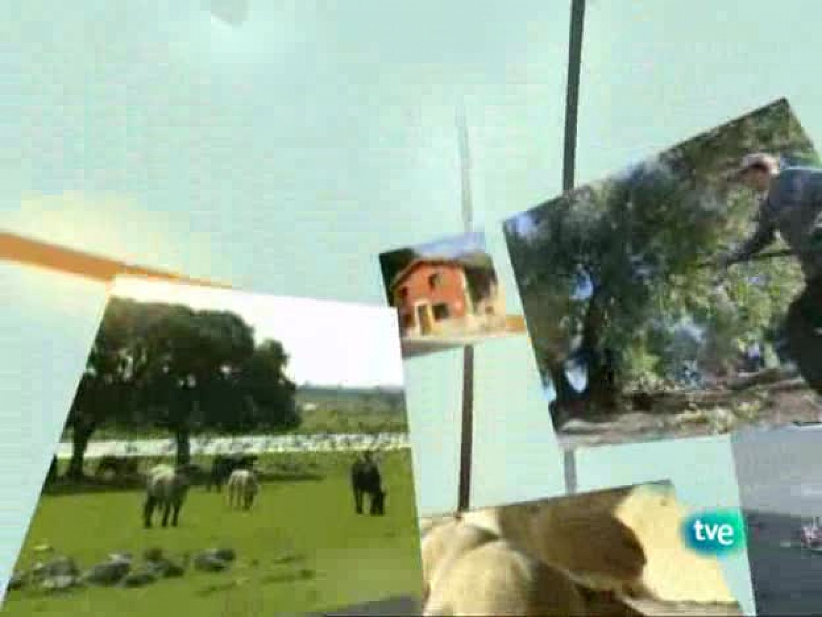 Agrosfera - 18/10/08 - Agrosfera | Ver