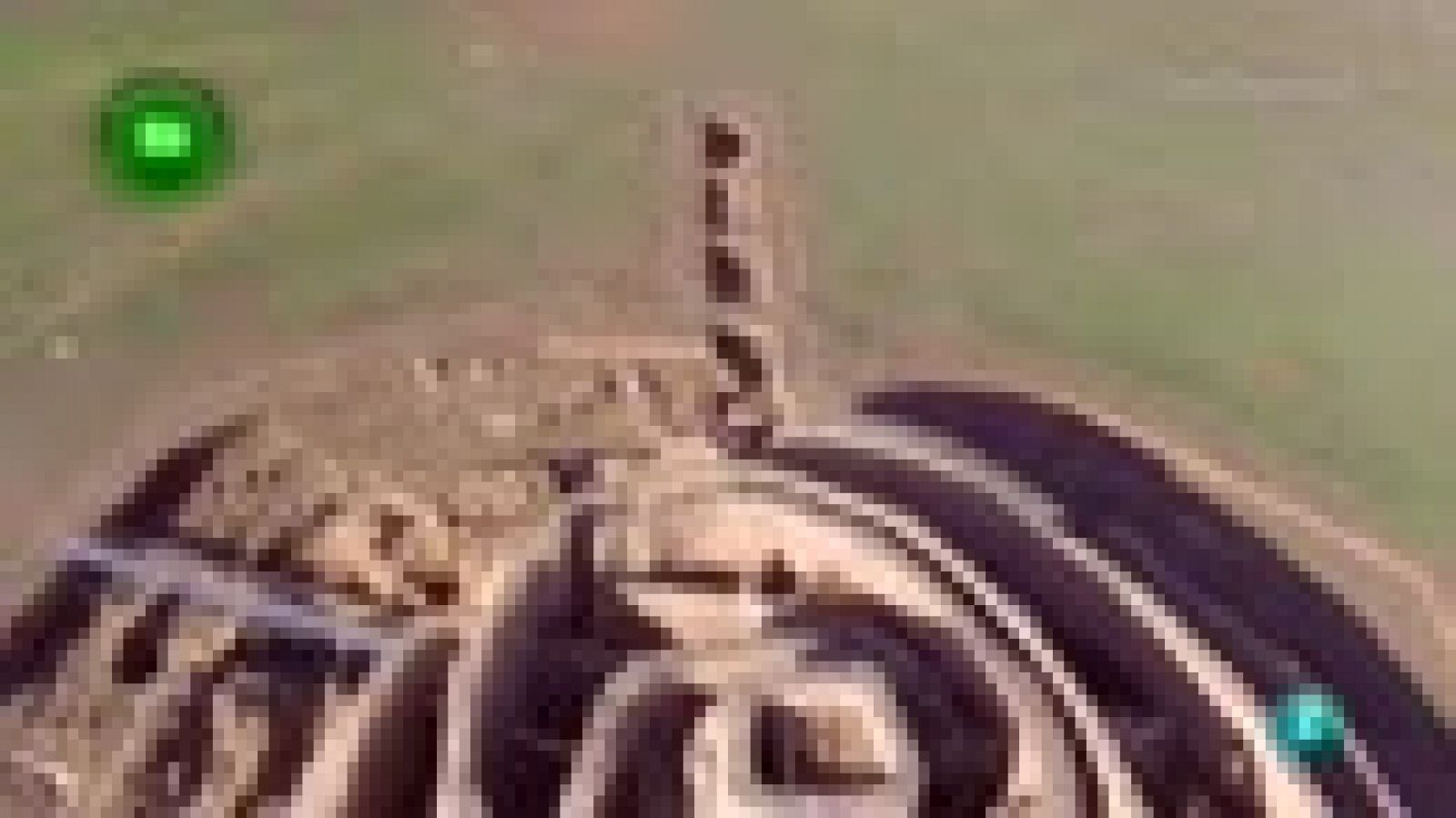 Agrosfera - En clave rural - Motilla del Azuer, Ciudad Real