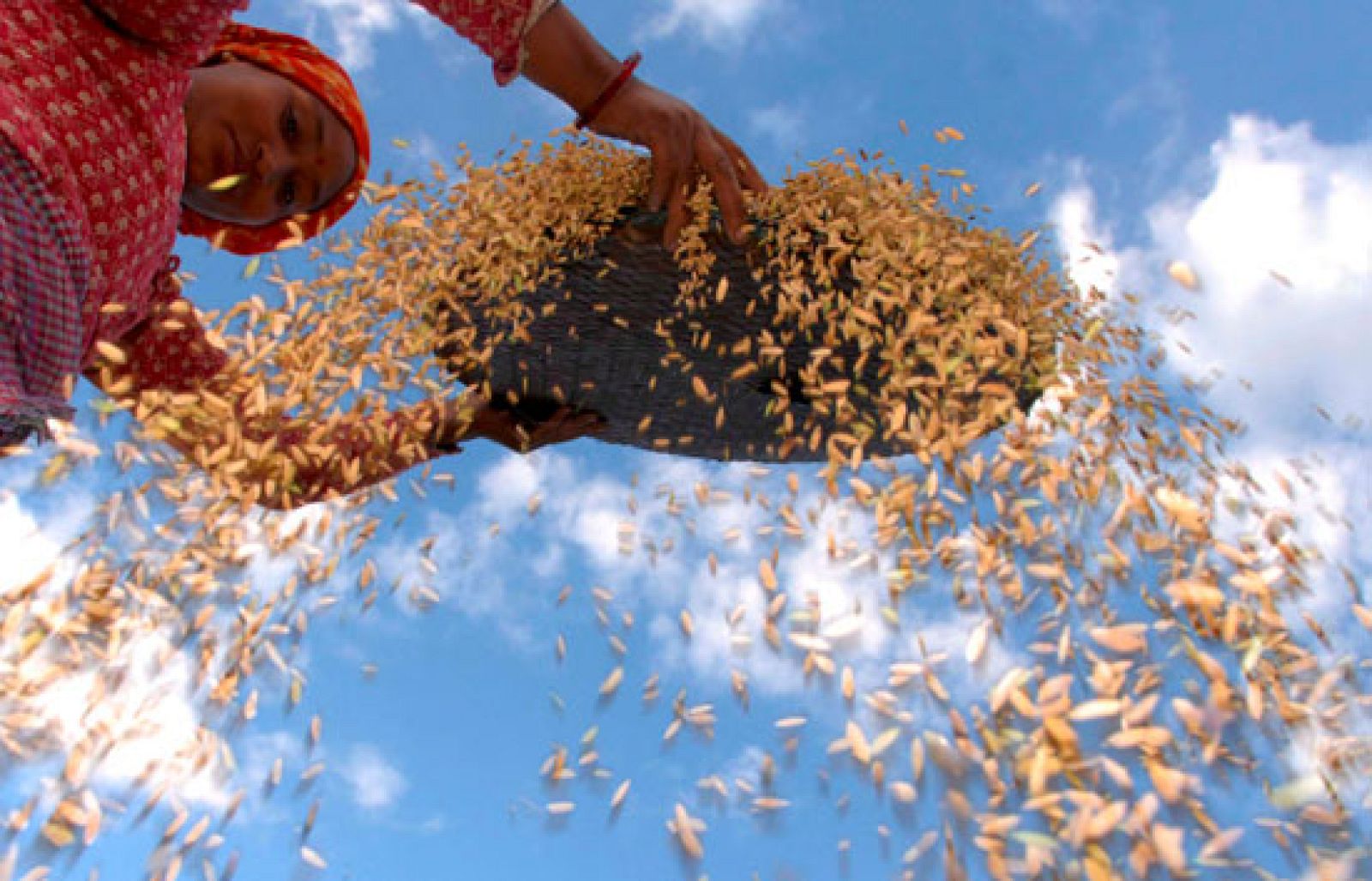 Informe semanal - Jardín del Edén congelado