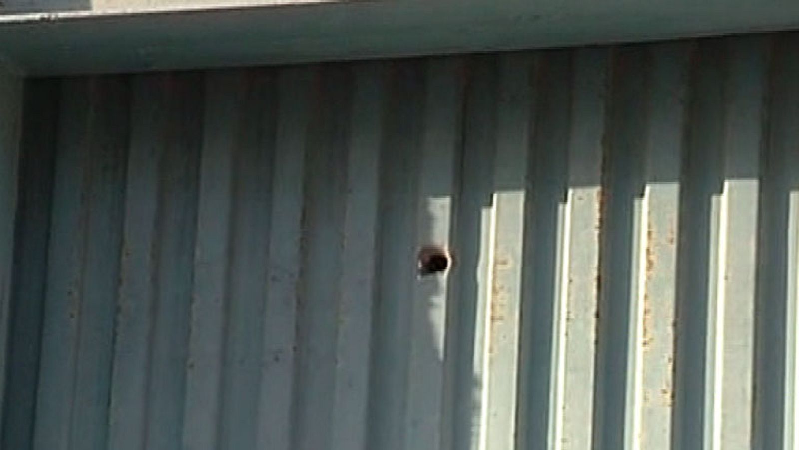 Un tiroteo en un banco acaba con un atracador herido