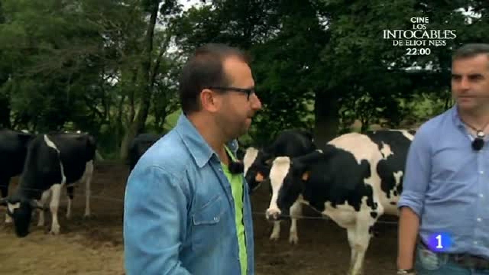 ¿Quién será Miss Vaca 2015?