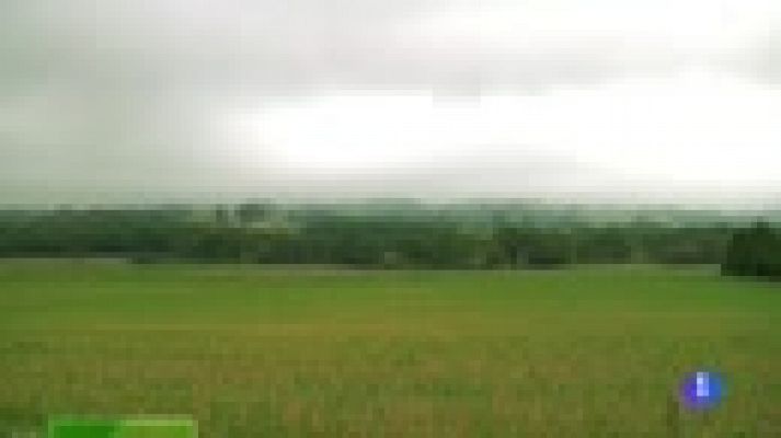 Aquí la Tierra - ¿Quién será Miss Vaca 2015?