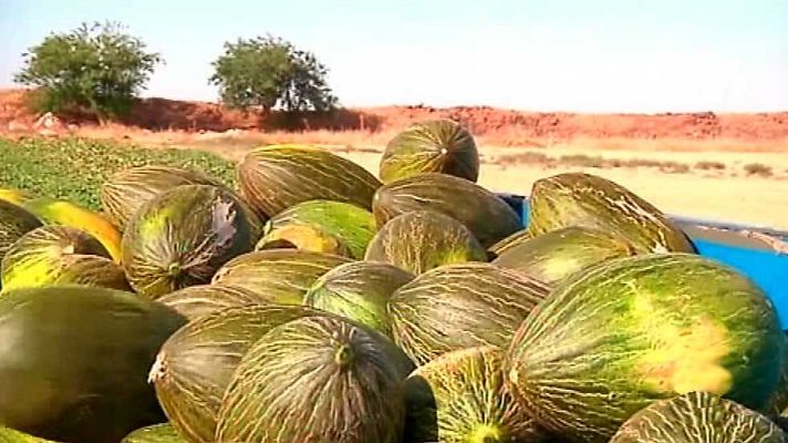 Agrosfera - Agrosfera - 04/07/15