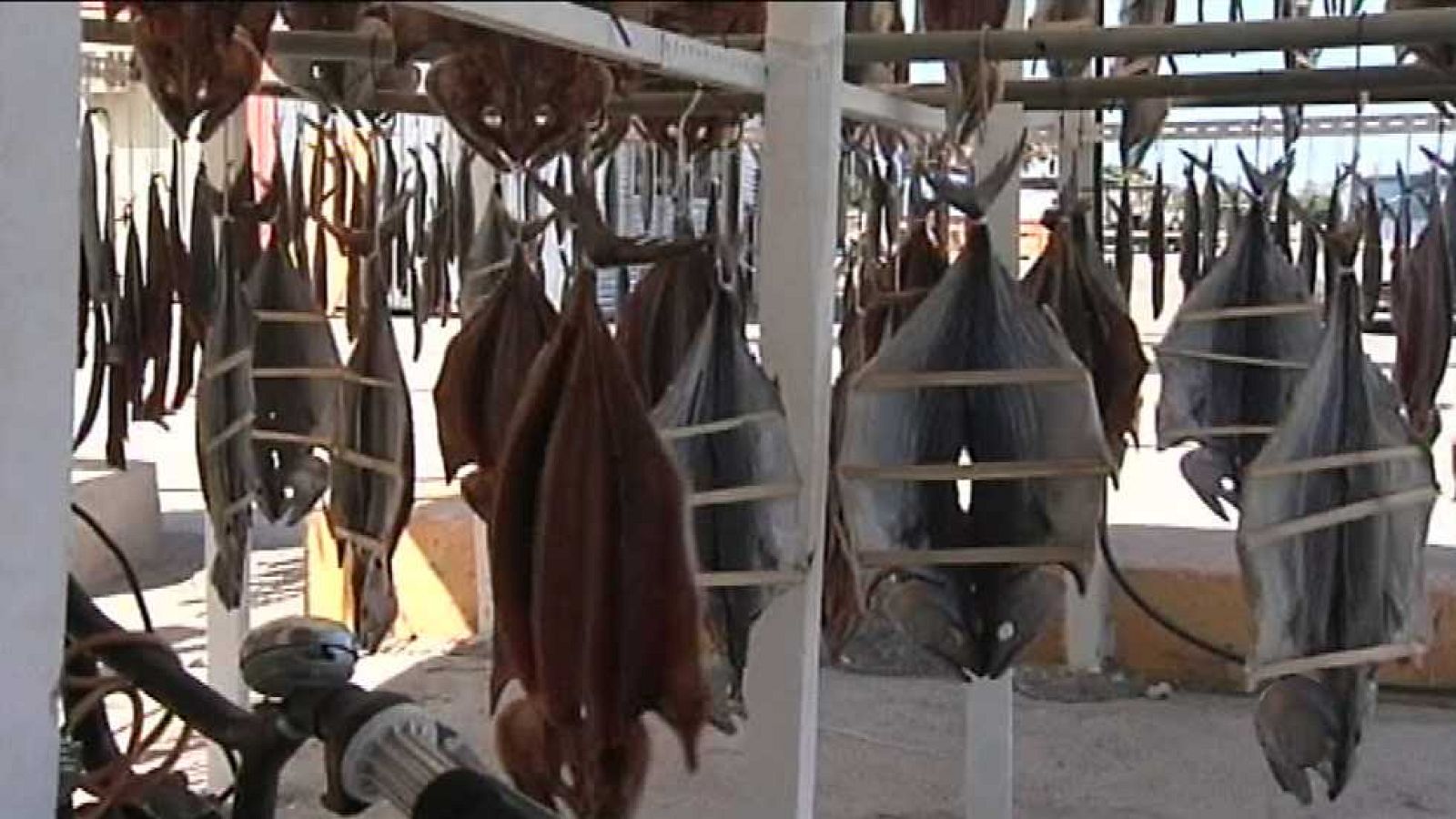 España en Comunidad - 04/07/15 - ver ahora