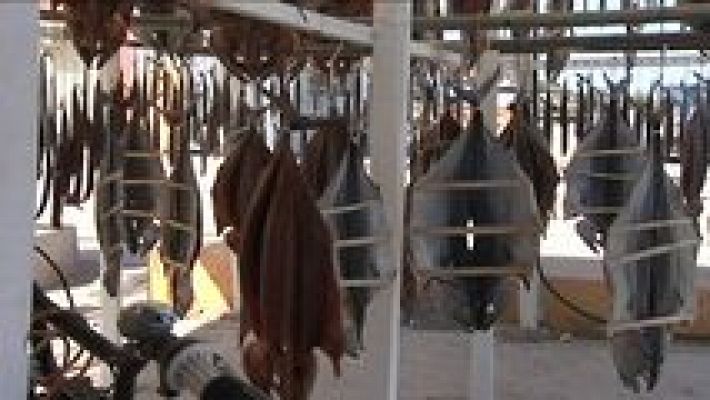 España en comunidad - España en Comunidad - 04/07/15