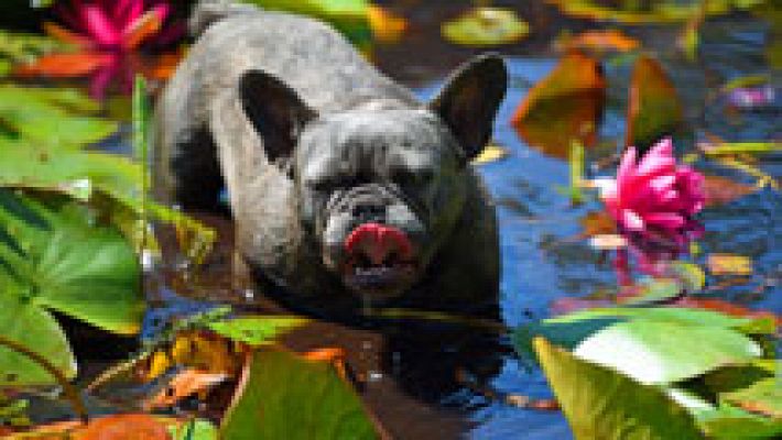 El tiempo - Se prevé cielo poco nuboso o despejado en toda España