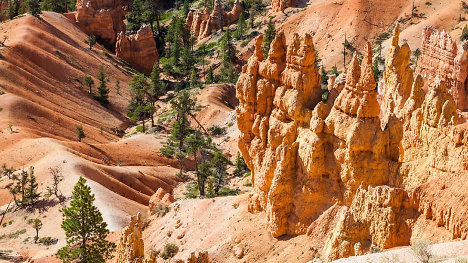 Documaster - El origen de los continentes: América - ver ahora