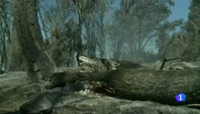 Noticias Aragón - Noticias Aragón 2 - 06/07/15