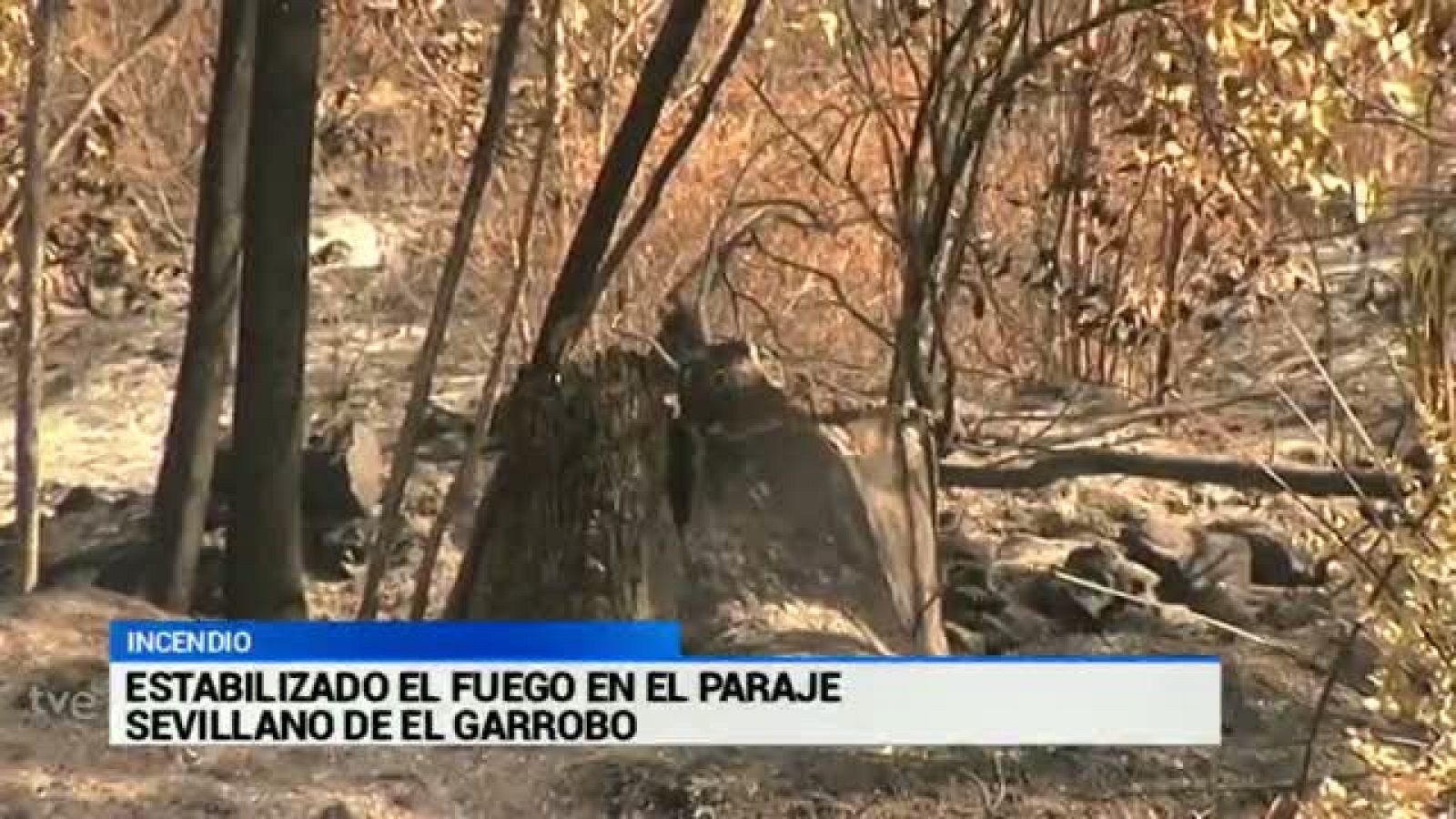 Noticias Andalucía - 06/07/2015 | Ver