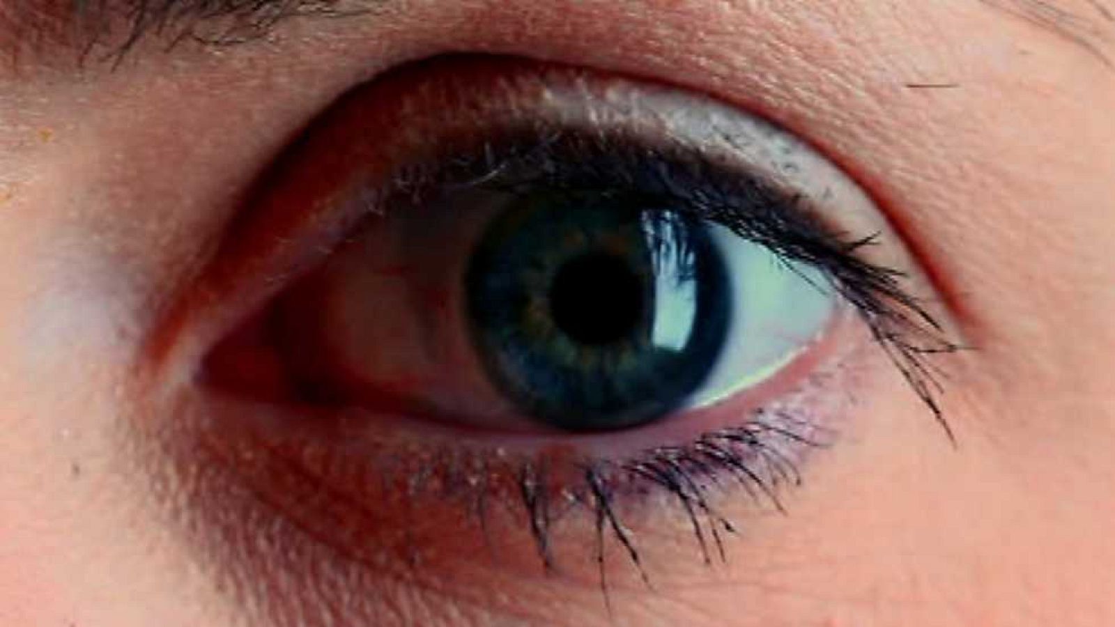 Brain Games - No tenga miedo - ver ahora