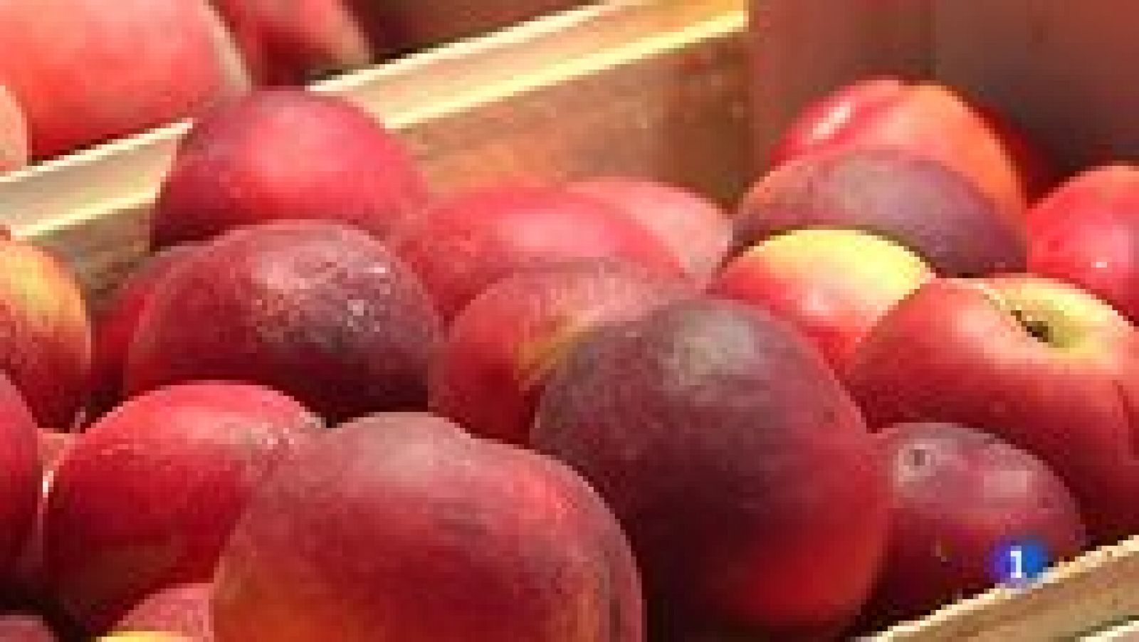 La Comunidad Valenciana en 2' - 07/07/15 - Ver ahora