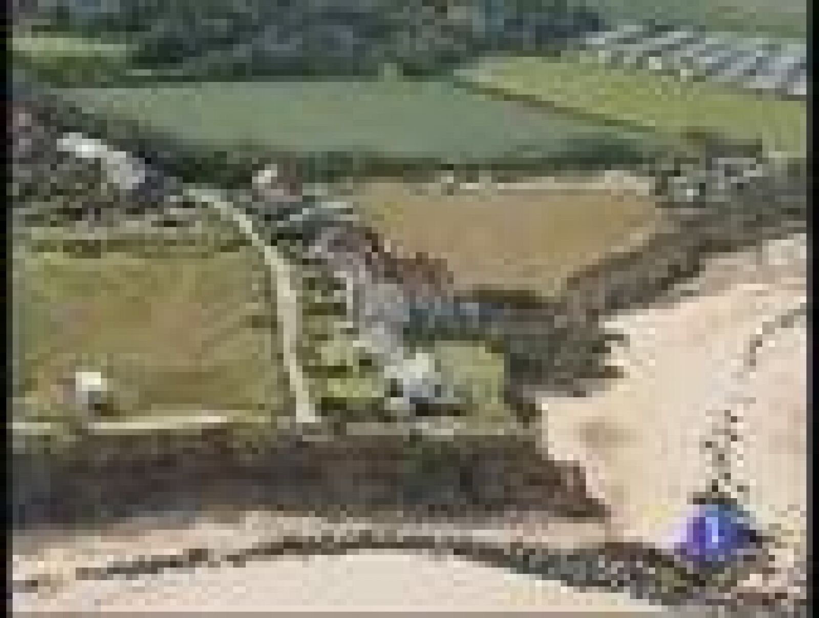 En el Reino Unido se venden casas por una libra | Ver