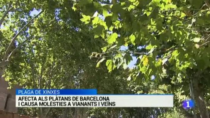 L'Informatiu - L'Informatiu en 3' - 09/07/15