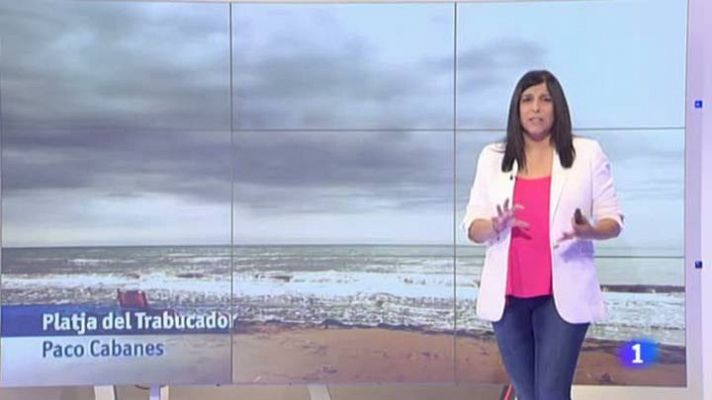 L'Informatiu - El temps - 09/07/15