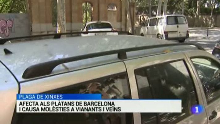 L'Informatiu - L'Informatiu - 09/07/15