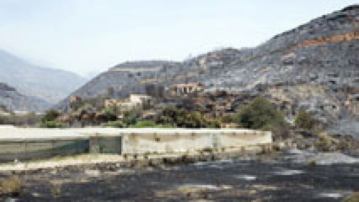 Telediario 1 - Telediario 2 en 4' - 09/07/15