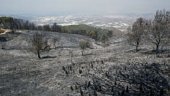 Telediario 1 - Vuelven a sus casas todos los vecinos evacuados por el incendio de Granada, que sigue activo