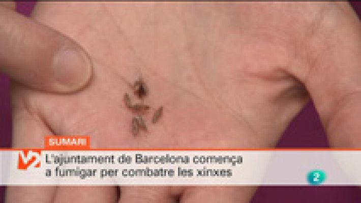 L'Informatiu - Vespre a La 2 - Informatiu - 9/07/2015