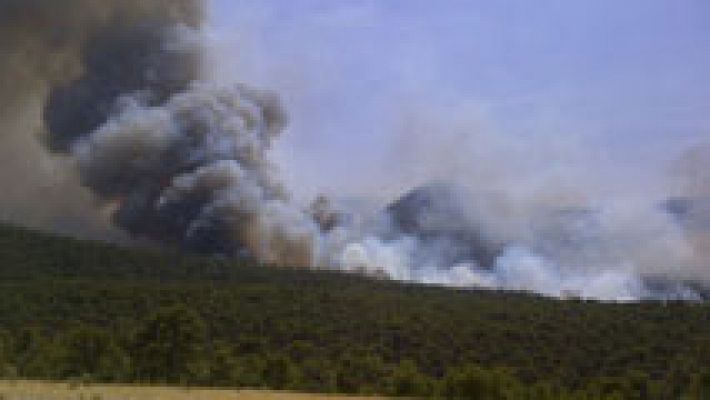 Telediario 1 - Telediario 1 en 4' - 10/07/15