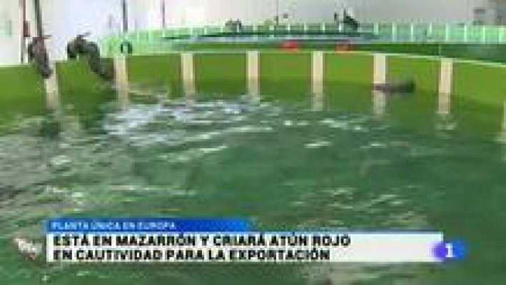 Noticias Murcia - Noticias Murcia - 10/07/2015