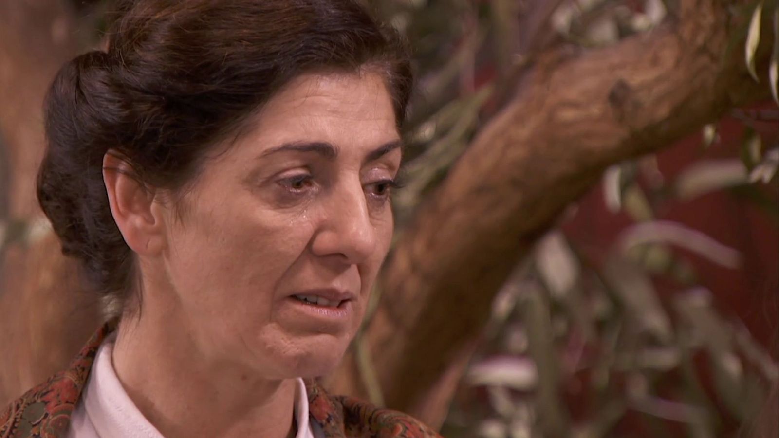 Acacias 38 - Episodio 65 - Ver ahora