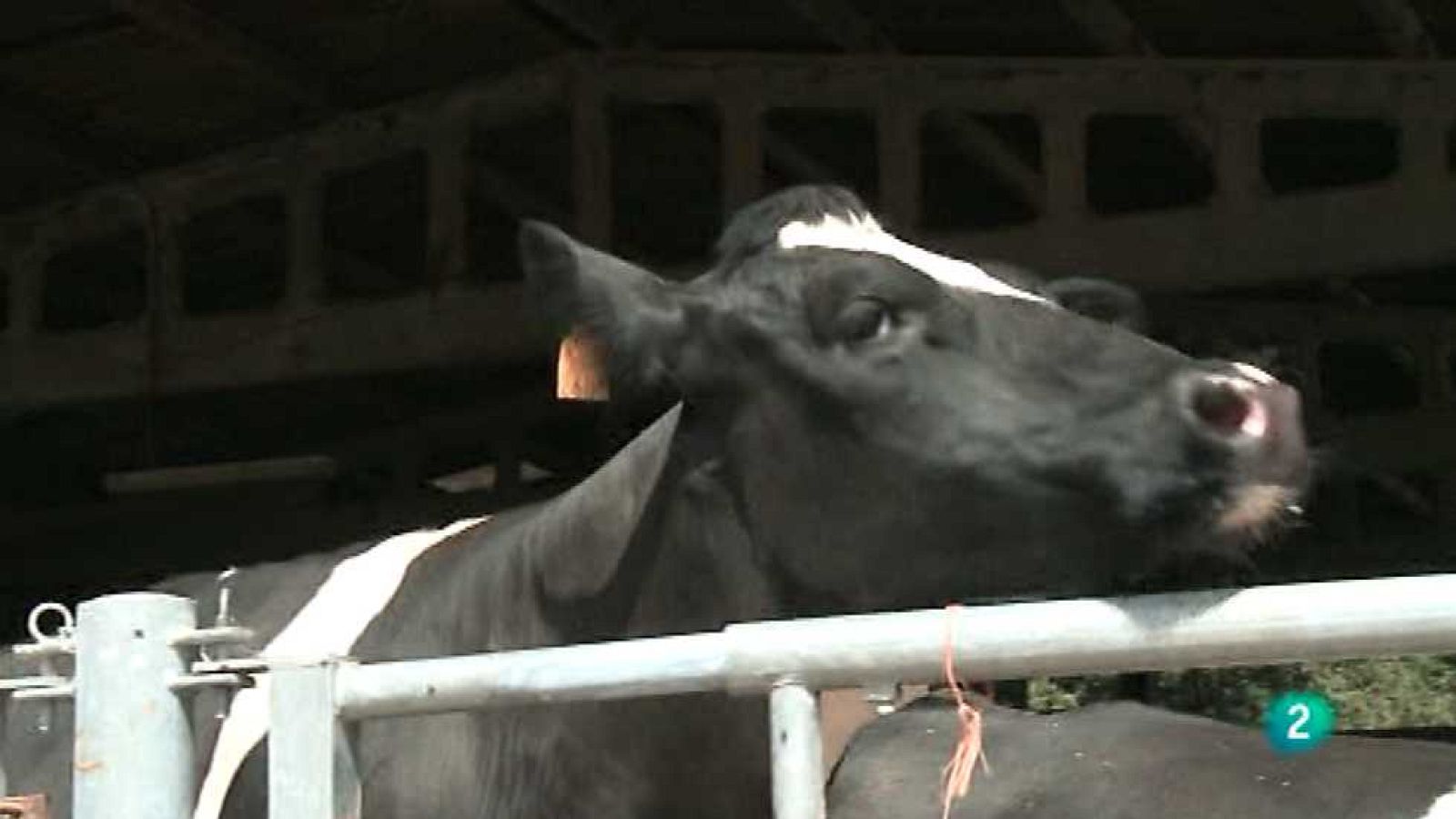 Agrosfera - 11/07/15 - Ver ahora