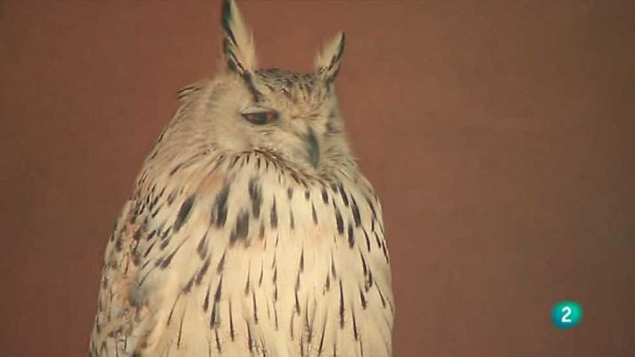 España en comunidad - España en Comunidad - 11/07/15