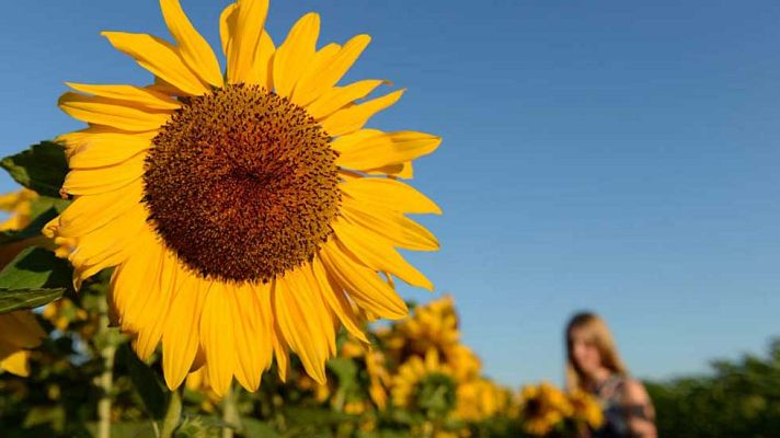 El tiempo - Temperaturas significativamente altas en amplias zonas de la mitad sur