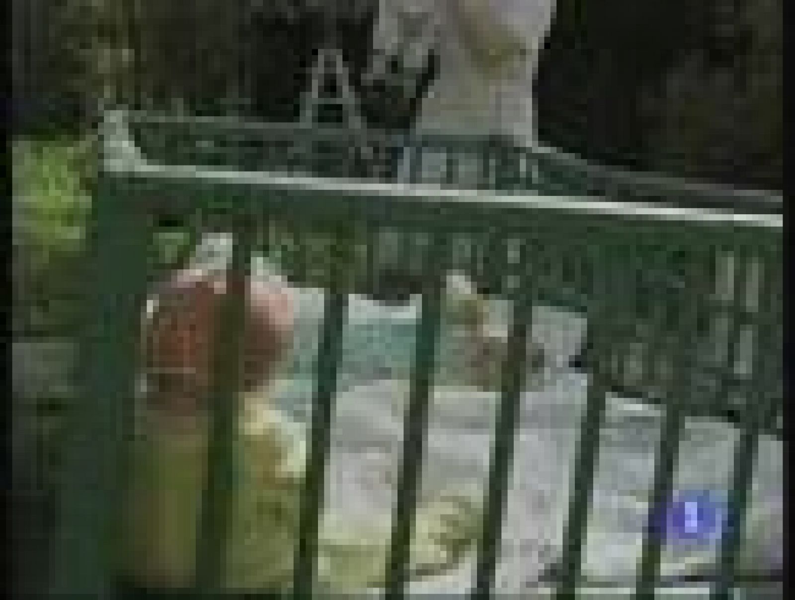 La Junta de Andalucía ha paralizado temporalmente las adopciones de niños rusos | Ver